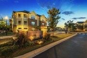 Bell Apex Apartments