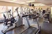 Crest Oasis Apartments