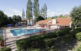 Sycamore Lane Apartments