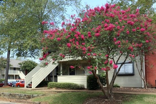 The Park at Moss Creek Apartments