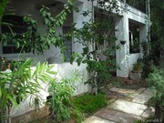 1 Bedroom Townhome for Rent $1650