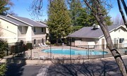 Auburn Creek Apartments