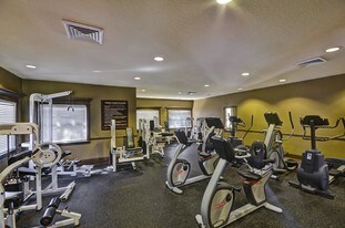 Amara at MetroWest Apartments