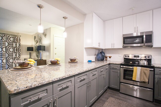 Village at Lake Park Apartments