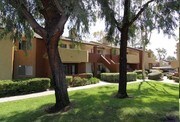 Villa Solana Apartments