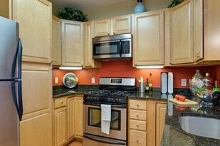 Fenestra Apartments at Rockville Town Square