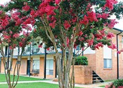 Creek Bend Terrace Apartments