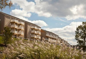 Eagle View Luxury Apartments and Towhomes