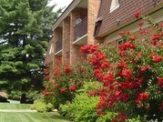 University Heights Apartments