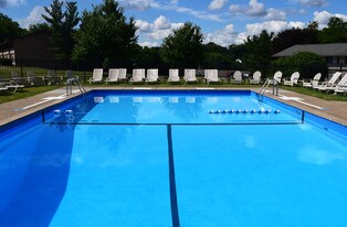 Thorn Run Apartments