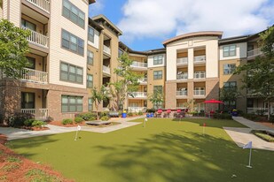 Montage Embry Hills Apartments
