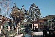 Pine Lake Terrace Apartments