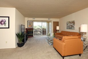 Shady Lake Apartments