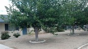 3 Bedroom Single-Family Home for Rent $1250