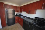 1003 N LaSalle St Chicago IL Apartments