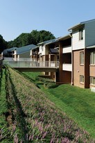 Saddle Brooke Apartments