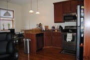 1 Bedroom Single-Family Home for Rent $1300