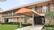 One Pine Apartments