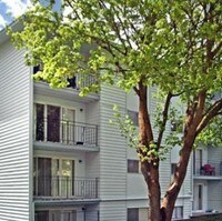 Talsman Apartments