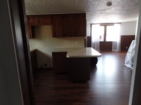 9687 Main St Machias NY Apartments