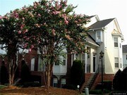 4 Bedroom Townhome for Rent $2000