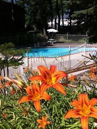 Cambridge Woods Apartments