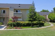 Live Oak Apartments