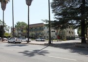 The Olive Tree Apartments