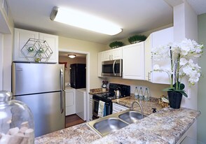 River Reach Apartments