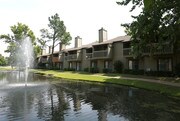 Sand Dollar on The River Apartments