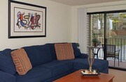 The Pines Apartments