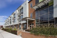The Meadows at Pyne Poynt Apartments
