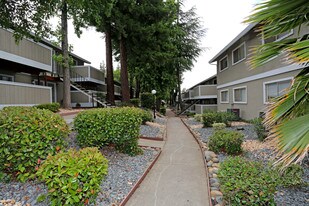 Sunrise Center Apartments