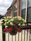 Allied Properties Apartments