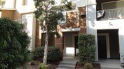 4 Bedroom Single-Family Home for Rent $2600