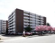 The Rise Apartments