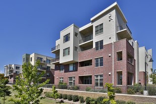 The Lofts at Peloton Apartments