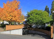 Ivy Ridge Apartments
