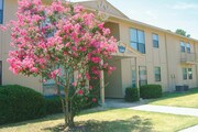 Westbrook Villa Apartments