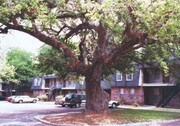Biloxi Oaks Apartments