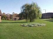 Ashford Cove Apartments