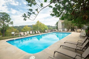 Barrington Hills Apartments