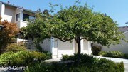 3 Bedroom Single-Family Home for Rent $2450