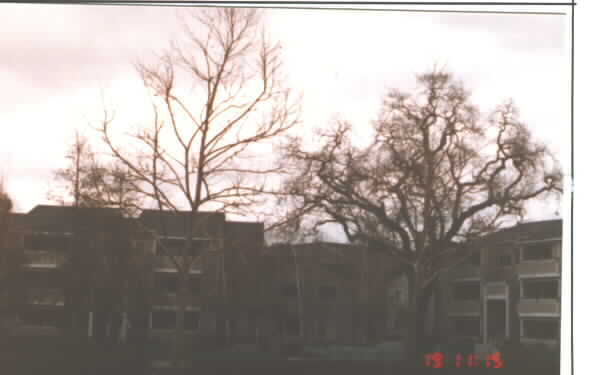 eaves Walnut Creek Apartments