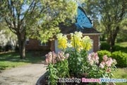 3 Bedroom Single-Family Home for Rent $1475
