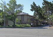 Driftwood Apartments
