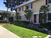 Deodar Townhomes Apartments