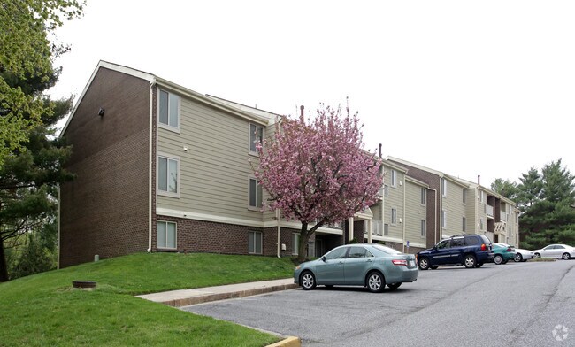 Alta Apartments
