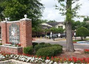 Forest Creek Apartments