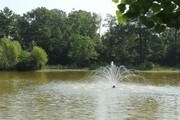 Lake Front Apartments